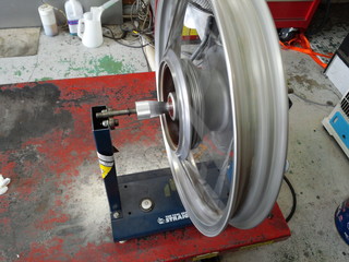 IMG00239.jpg