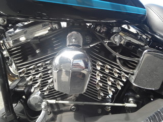 IMG00384.jpg