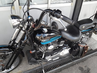 IMG00391.jpg