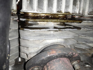 IMG00484.jpg