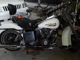 IMG00525.jpg