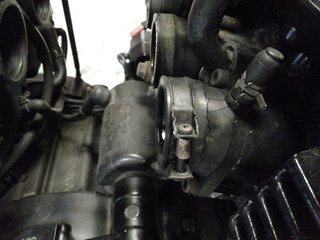IMG00534.jpg
