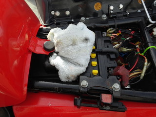 IMG00558.jpg